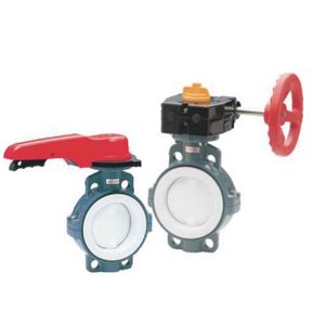 55型手動(dòng)蝶閥1