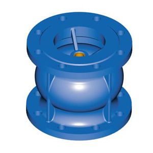 法蘭軸向止回閥底閥1