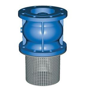 法蘭軸向止回閥底閥2